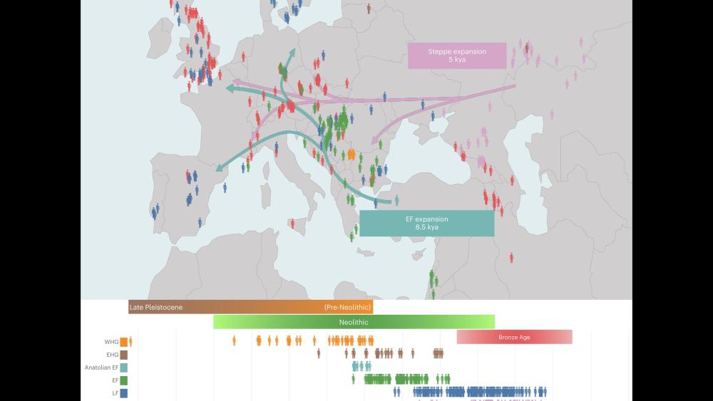 Ancient Genomes Reveal Hidden History Of Human Adaptation | Penn State ...